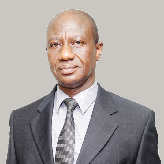 Energy Policy Advisor